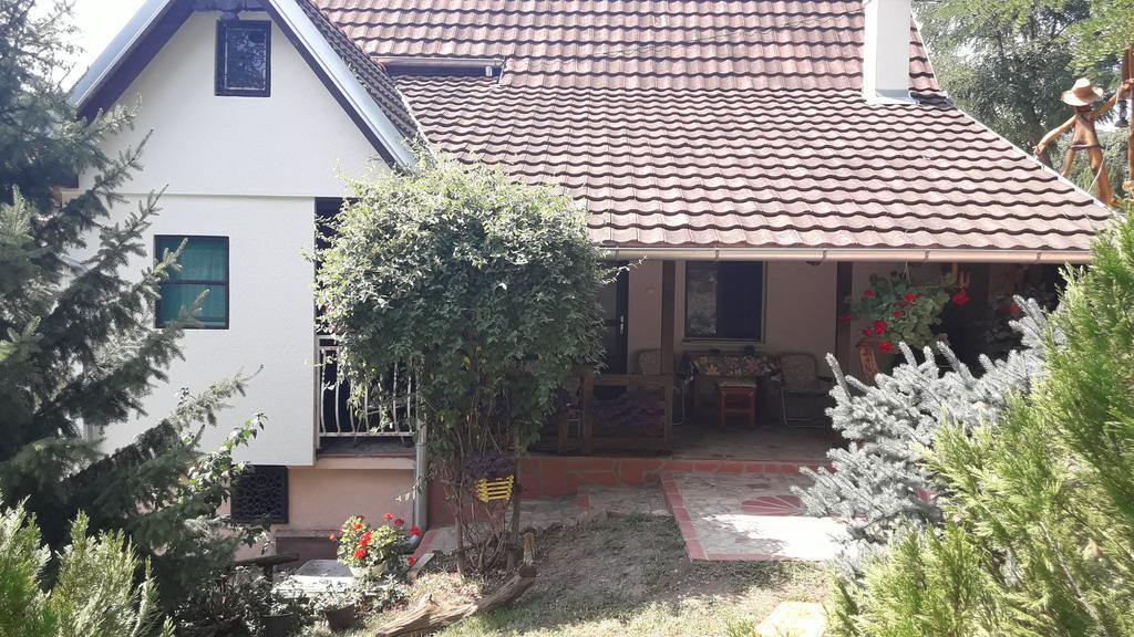 Skriveni Raj Apartment Vrdnik Cameră foto