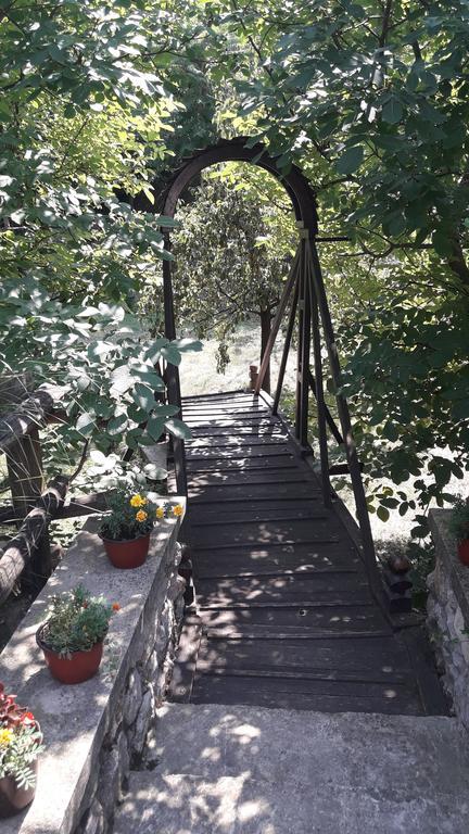 Skriveni Raj Apartment Vrdnik Cameră foto