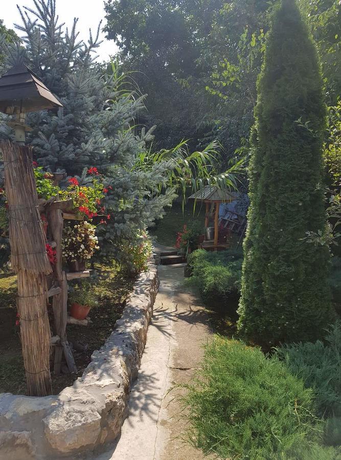 Skriveni Raj Apartment Vrdnik Cameră foto