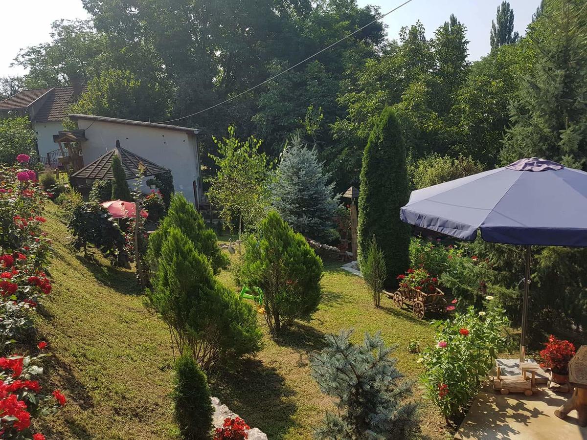 Skriveni Raj Apartment Vrdnik Cameră foto