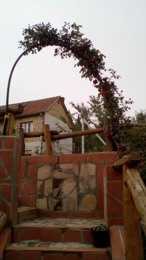Skriveni Raj Apartment Vrdnik Exterior foto